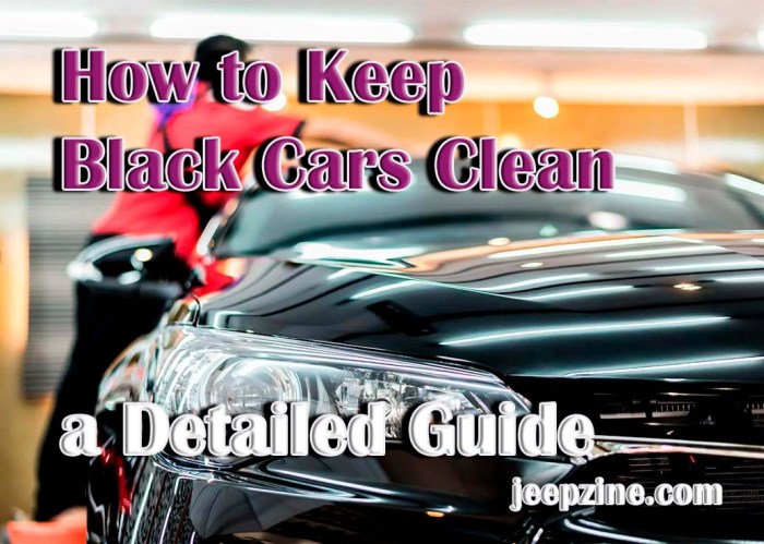 Expert Tips for Maintaining a Clean Black Car